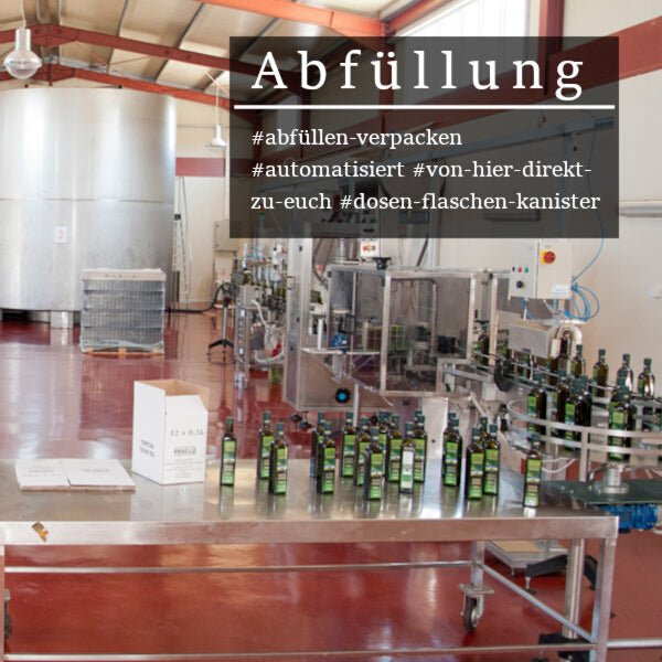 Aktionspaket 3 Liter Olivenöl mit Flasche - OlivenZauber - Olivenöl neu erleben