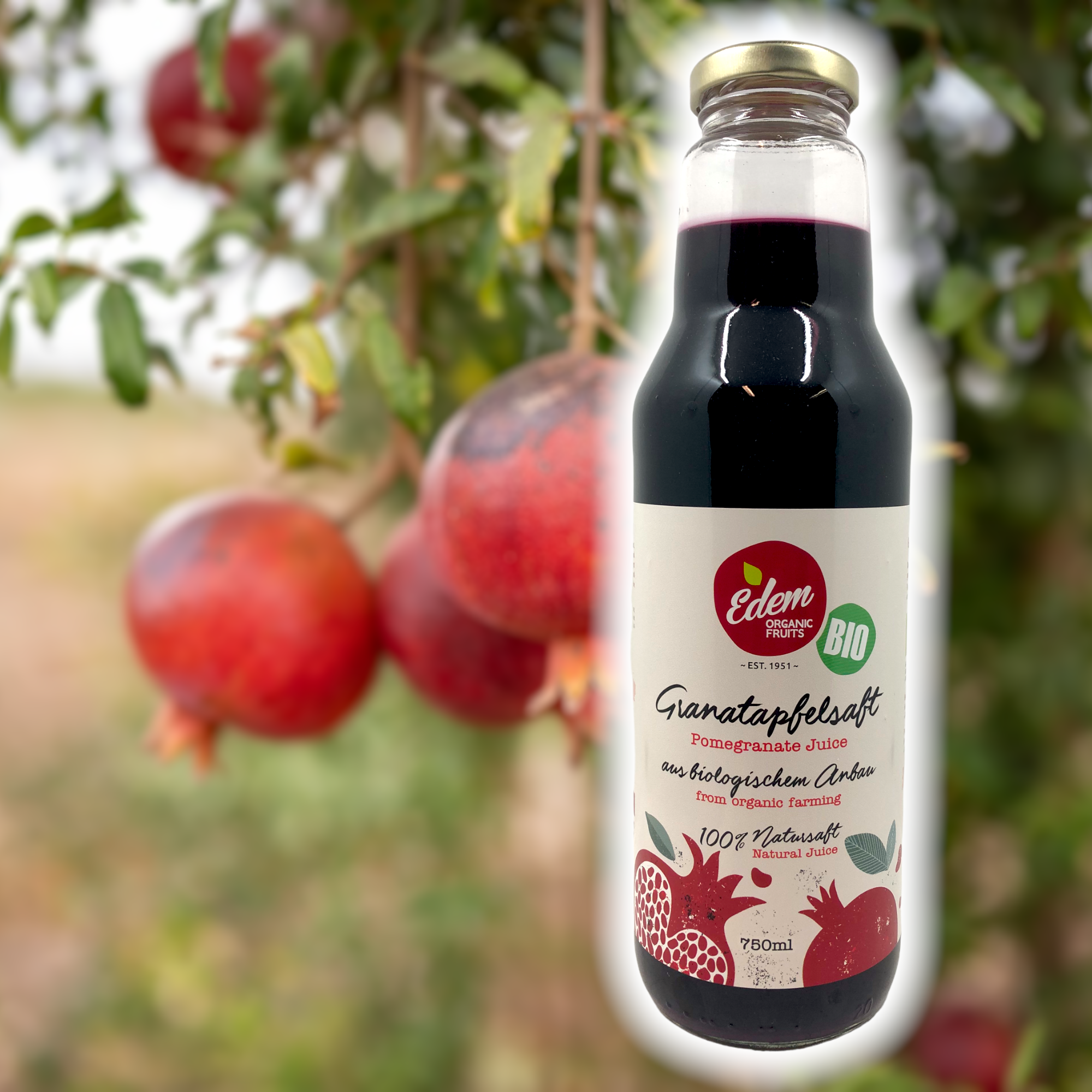 Griechischer Granatapfelsaft