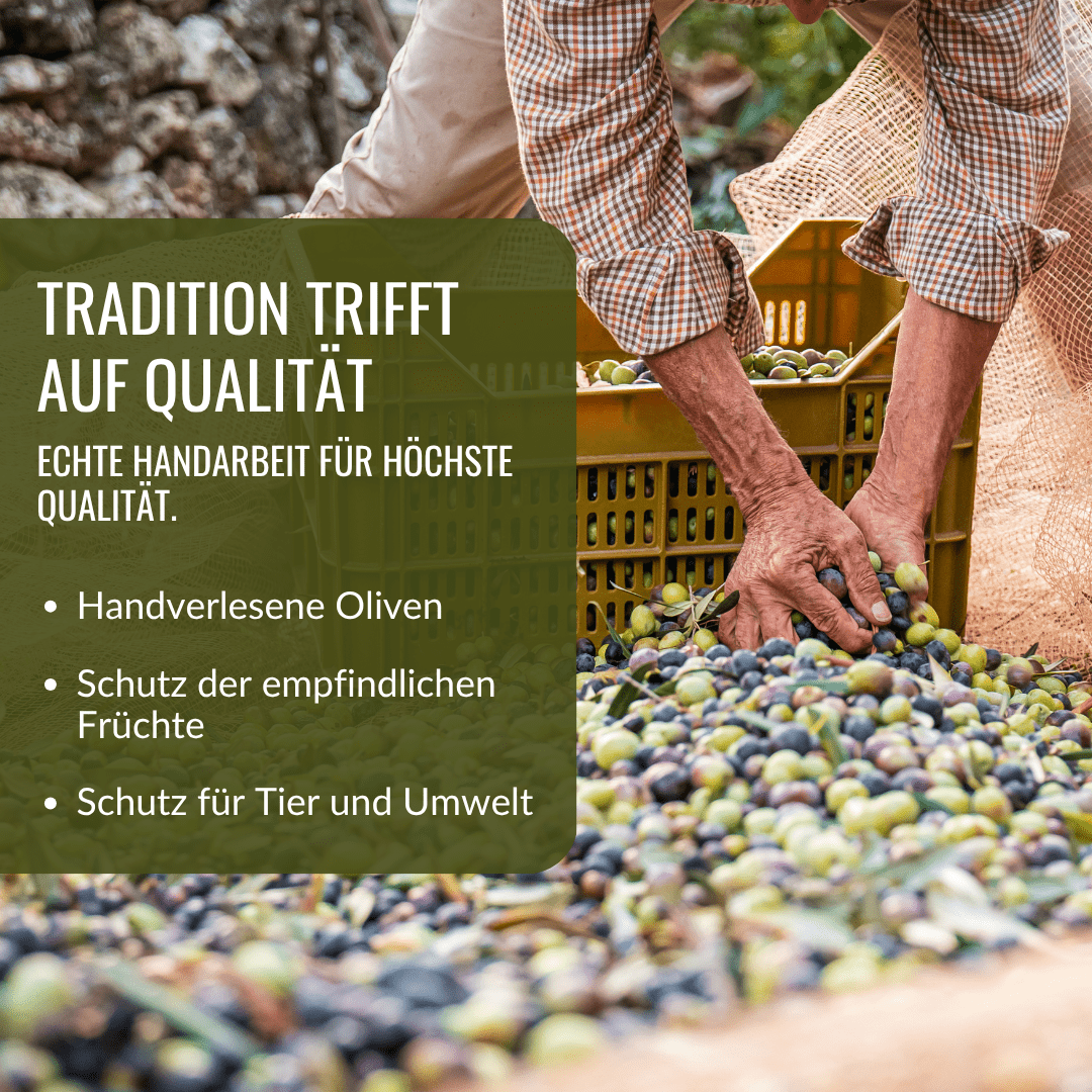 Griechisches Olivenöl nativ extra aus Kreta – 1000ml Dose - Upsell - OlivenZauber - Olivenöl neu erleben