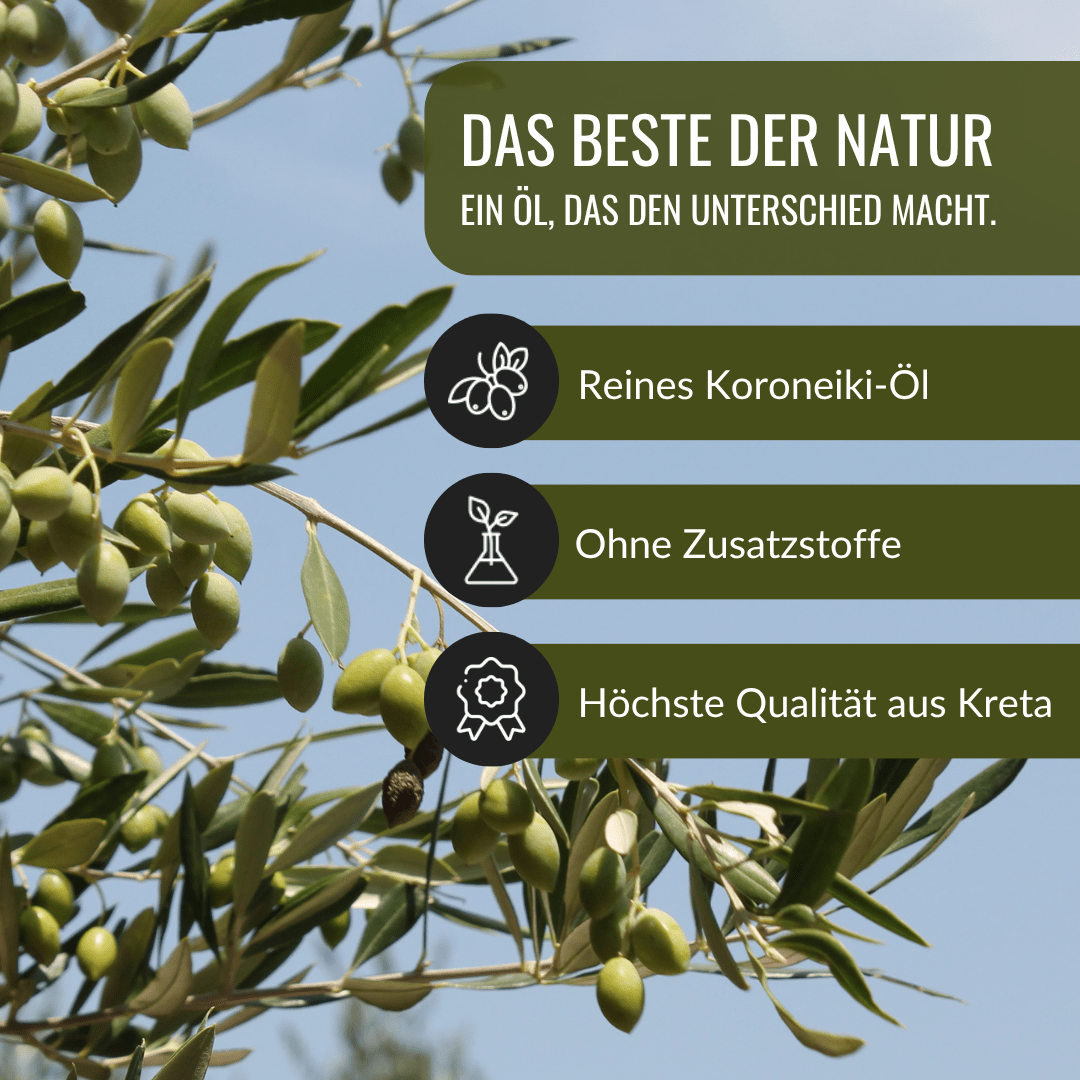 Griechisches Olivenöl nativ extra aus Kreta – 1000ml Dose - Upsell - OlivenZauber - Olivenöl neu erleben