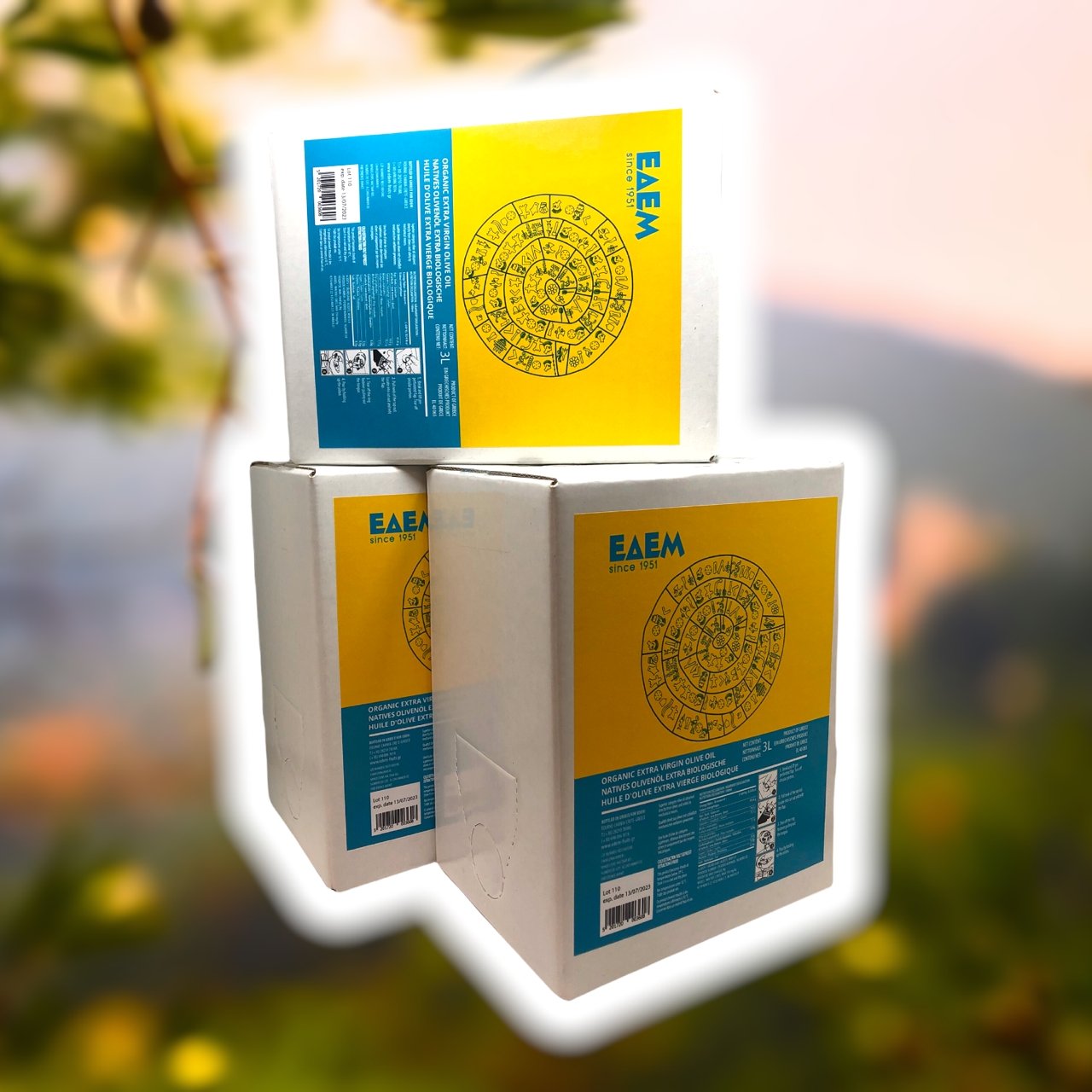 Bio Olivenöl nativ extra aus Kreta – 3 Liter Bag-in-Box - OlivenZauber - Olivenöl neu erleben