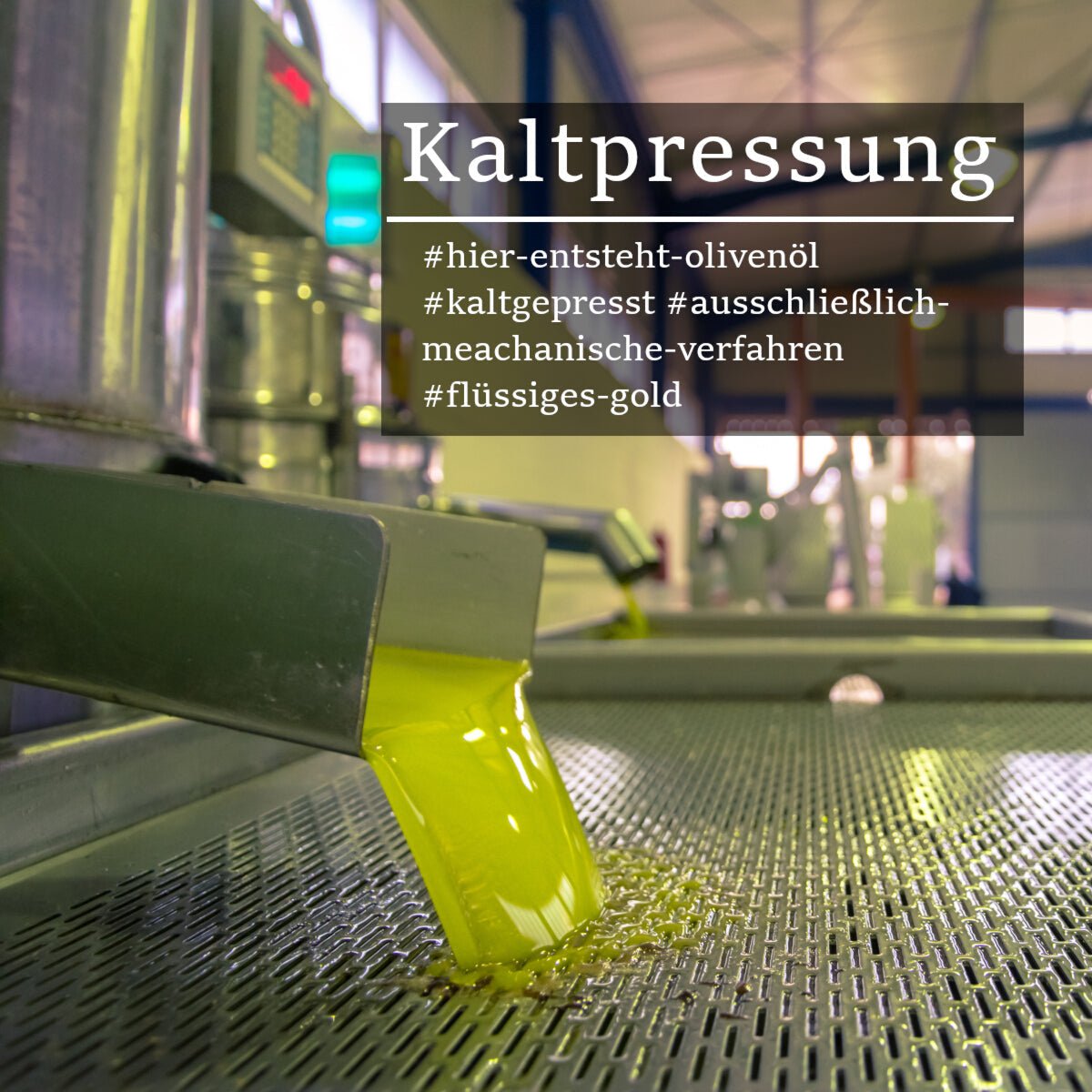 Bio Olivenöl nativ extra aus Kreta – 3 Liter Bag-in-Box - OlivenZauber - Olivenöl neu erleben