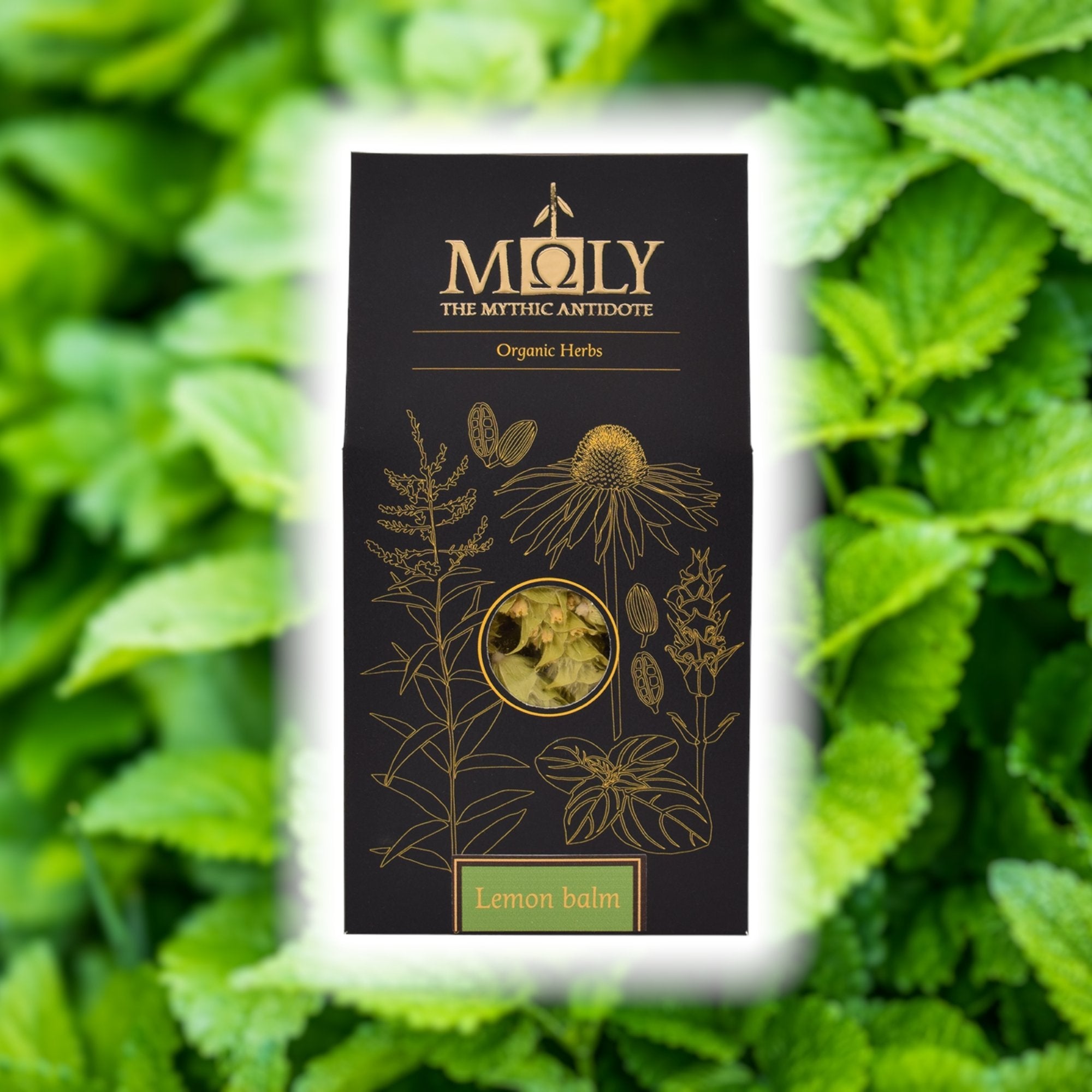 Getrocknete Zitronenmelisse