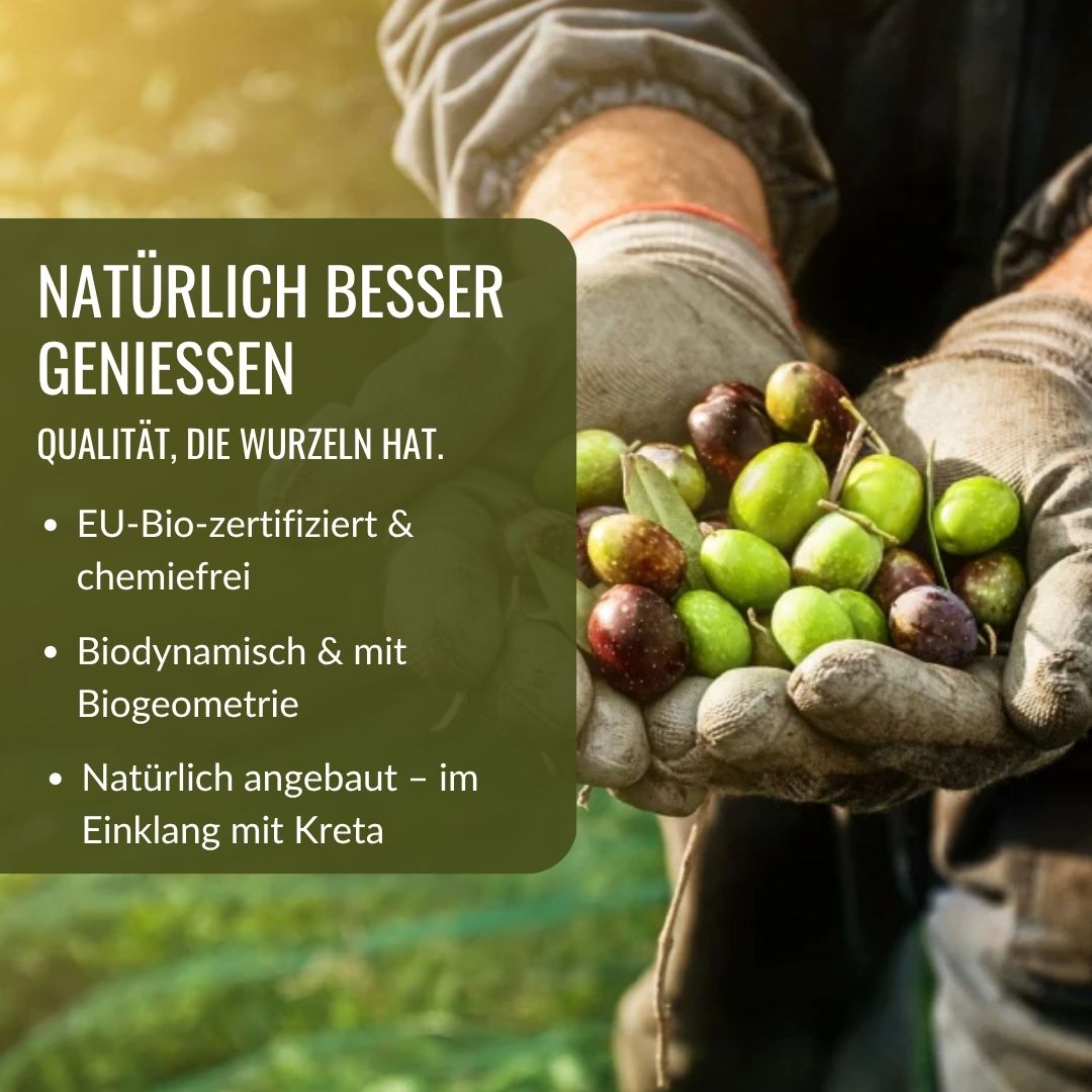 Griechisches Premium Bio Olivenöl nativ extra "Selektion" - OlivenZauber - Olivenöl neu erleben