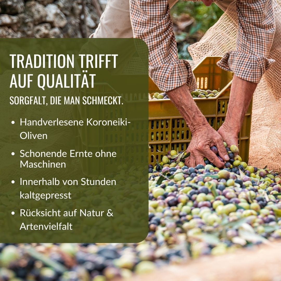 Griechisches Premium Bio Olivenöl nativ extra "Selektion" - OlivenZauber - Olivenöl neu erleben