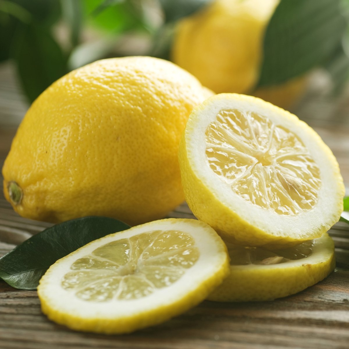 Frische Bio Zitronen aus Kreta, Griechenland - OlivenZauber - Olivenöl neu erleben